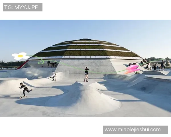 武汉滑板队的技术揭秘与滑板文化的深度探索